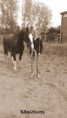 /album/sandy-en-grando/img-20151030-114610-jpg/